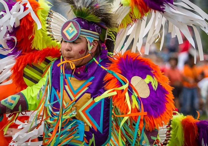 ©Dwayne Reilander, CC BY-SA 4.0 Wikimedia Commons