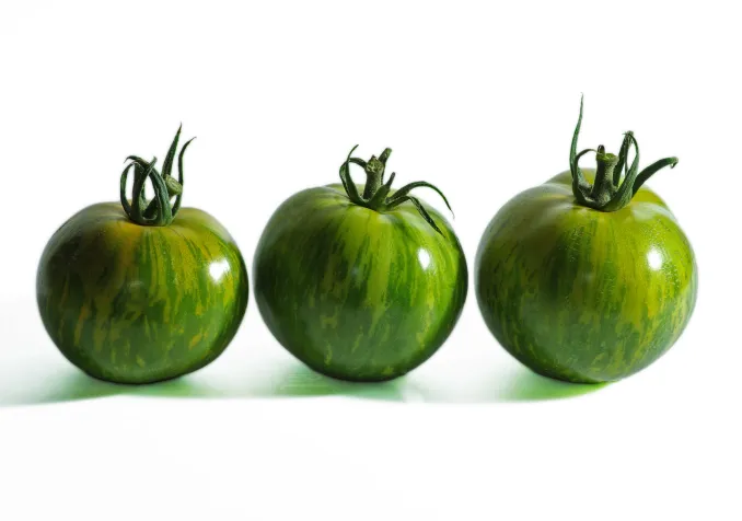 © CC BY-ND / Pil / Flickr Tomates vertes