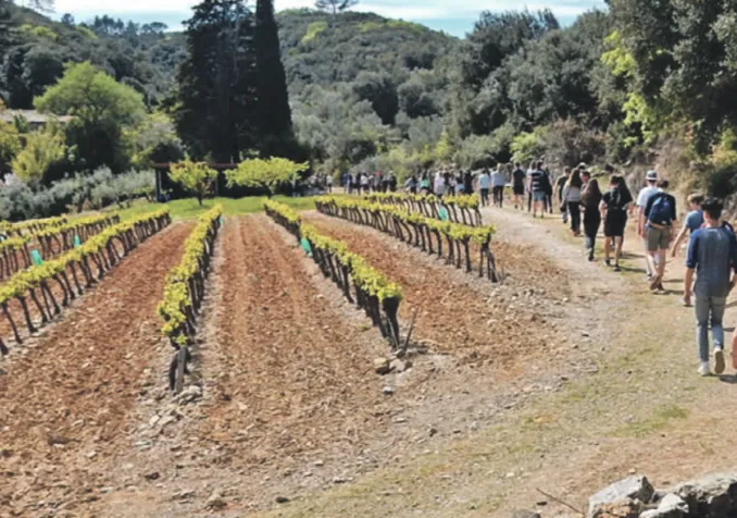 ©Jean-Marc Spothelfer