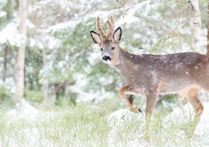 Tirée de l'exposition «And this is good».