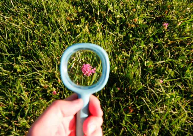 A travers une loupe, un nouvel univers se révèle. Entre l’infiniment petit et l’immensité de la nature, chaque promenade devient alors une invitation à l’émerveillement. © GettyImages