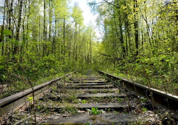 ©iStock/FedotovAnatoly