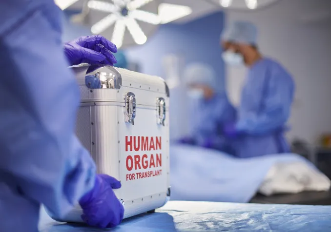 opération de transplantation (image d'illustration) (c) iStock