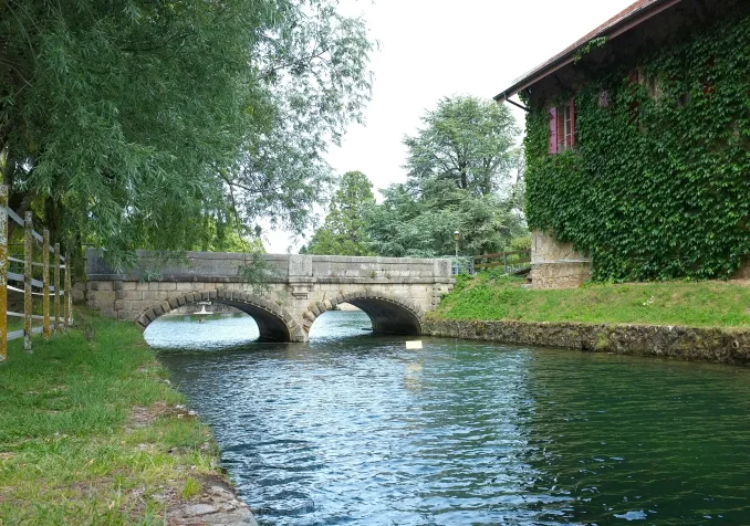 ©iStock / Yves Grau