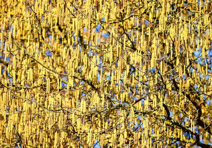 Bien davantage que nécessaire