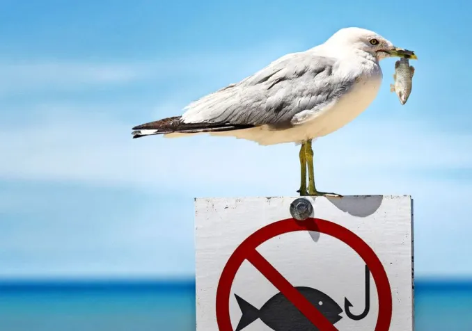 contradiction comique