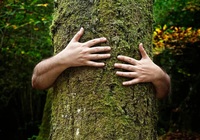 embrasser un arbre