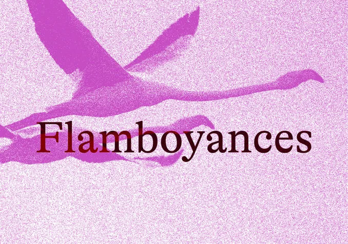 Une représentation proposée par Exalon Flamboyances