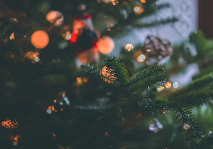 christmas tree-craig-adderley-1671867.jpg