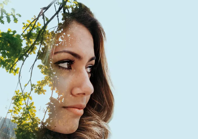 «Des arbres qui marchent», un parcours de sens.