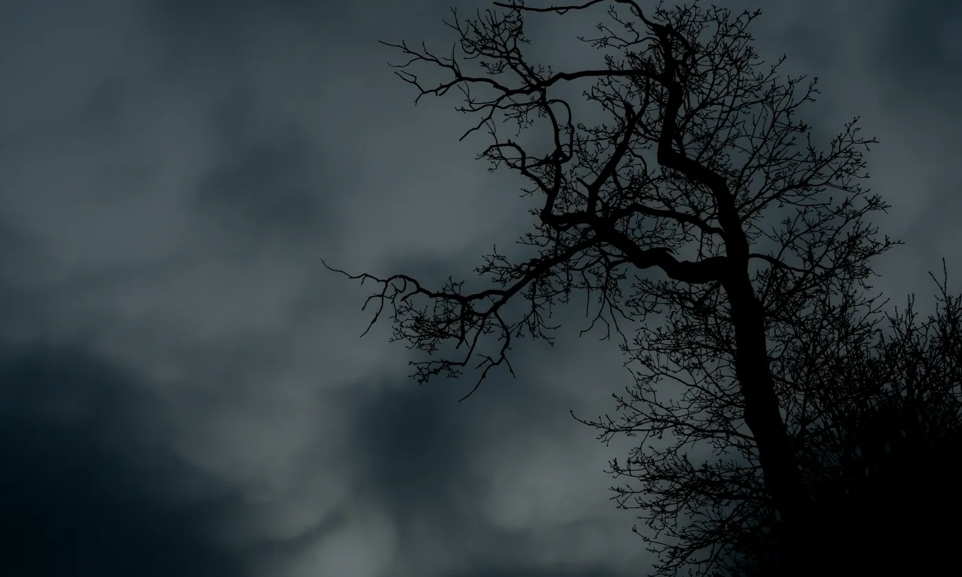 © Flickr CC CC BY 2.0 / Fabien Lemtayer https://www.flickr.com/photos/fabien_lemetayer/8633585473/in/photolist-e9VoaX-ceK9LC-g6S4he-98w3uw-7Qfxyw-9fn3Ud-ovTfDR-75VyDs-9fn42j-5XKta9-6RLeAm-a87ANr-9fiW9V-bca752-2vHbQ6-4H8ssw-bZZARd-fMhCXp-o8HEsH-8uKKyA-a7wBes-dmEYty-5CRUjF-bcBeMc-dj6iic-dj6j5r-r76EGk-a4e6jV-dmEZQu-dj6j5A-dmEWn6-dmEZ5N-diyLLN-dmEWzX-c6wjH7-dmEXu8-r76L4T-9xcAsG-oR1nY-av1sQh-k5BtHT-fPk1fD-8qxo8k-fTyHY-94ezj8-dsQGF8-dmEWe2-diyMKG-dj6jhS-diyK5u