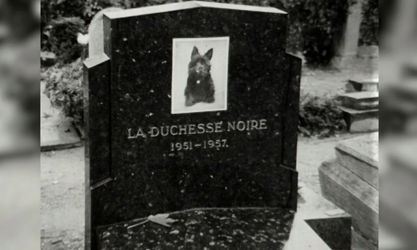 Sur la tombe de Médor ©Archives RTS