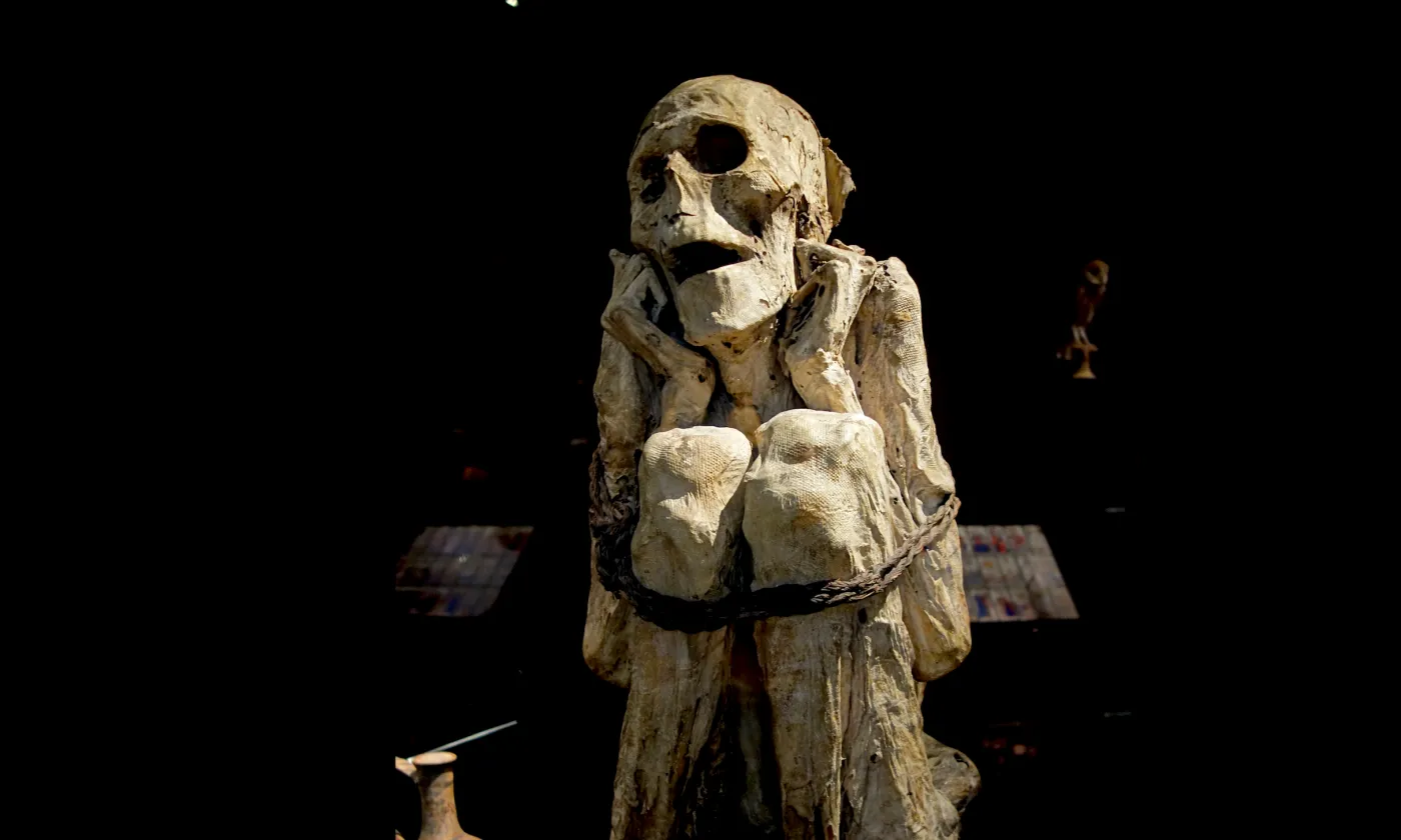 Momie Chachapoya au Musée de l'homme, Paris. DR