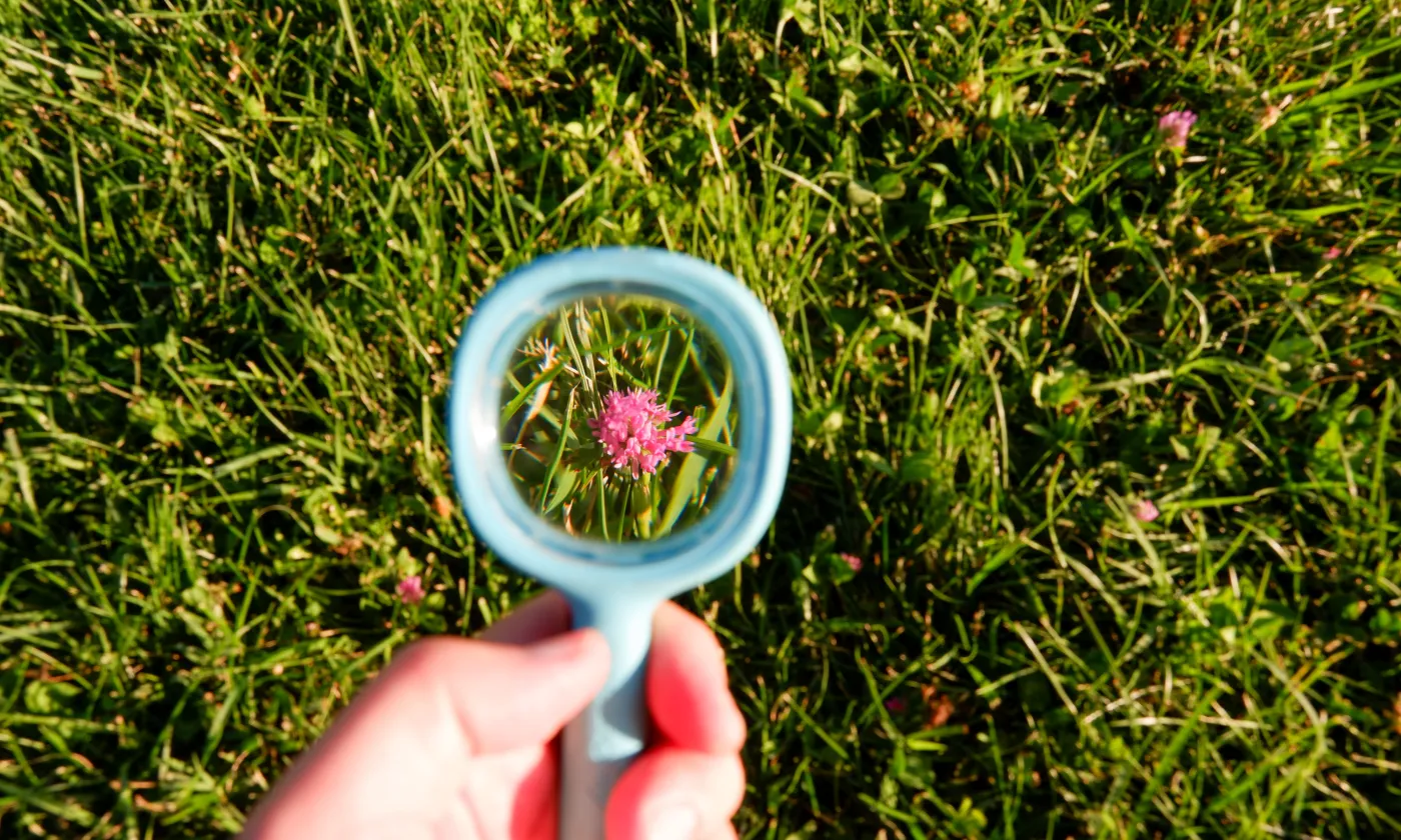 A travers une loupe, un nouvel univers se révèle. Entre l’infiniment petit et l’immensité de la nature, chaque promenade devient alors une invitation à l’émerveillement. © GettyImages
