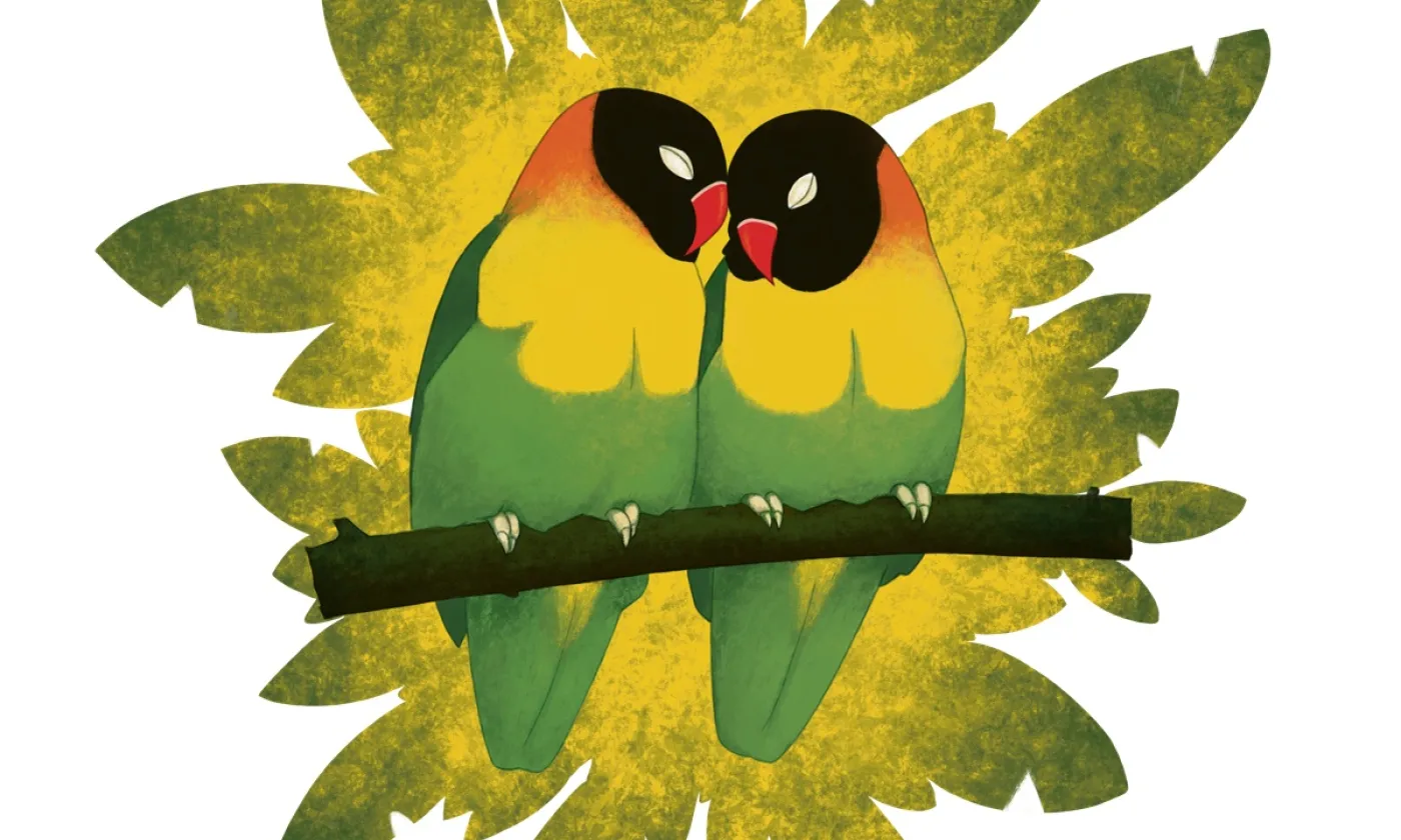 Bénir une union ou un modèle? © Mathieu Paillard