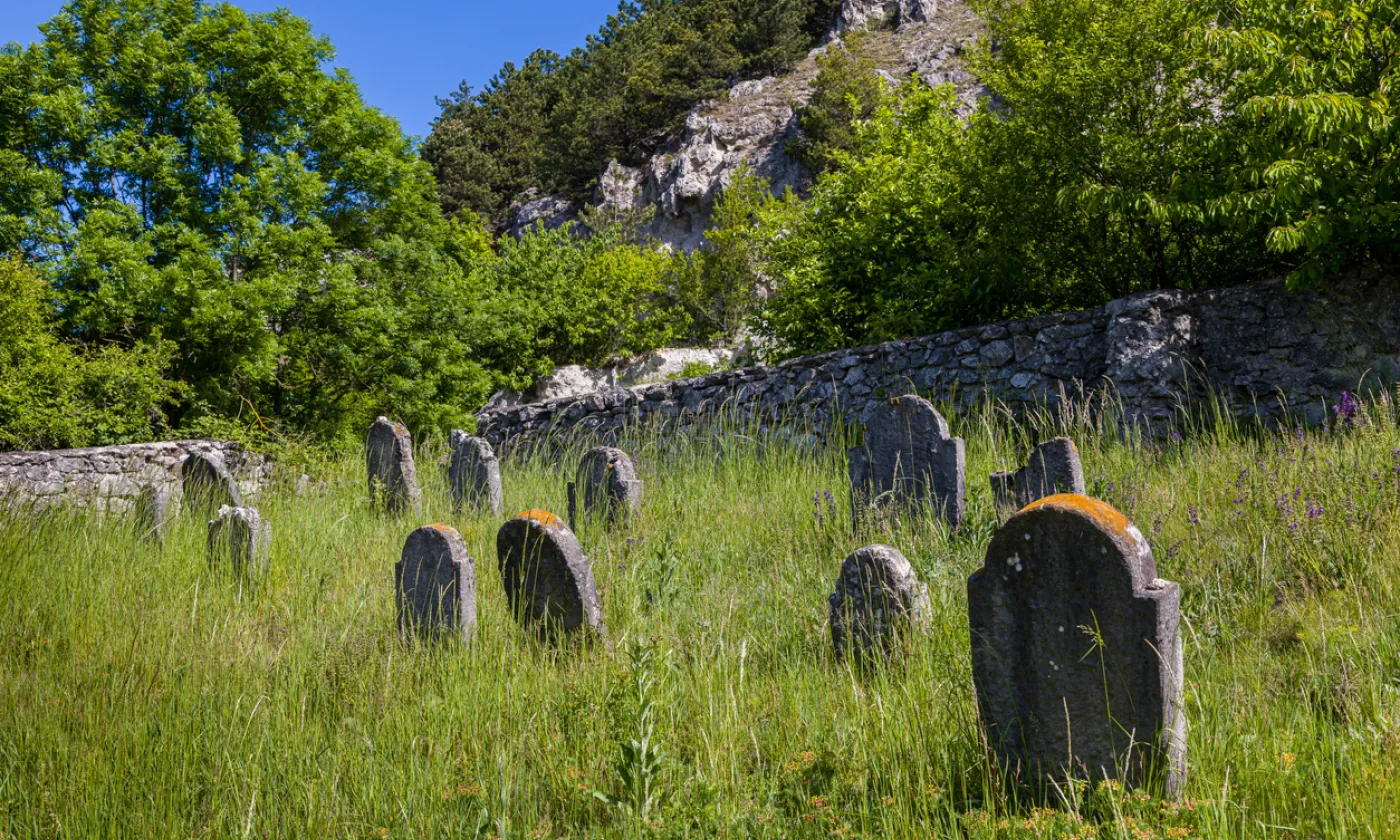 Très vieux cimetière juif abandonné près du village de Trstin, en Slovaquie. IStock