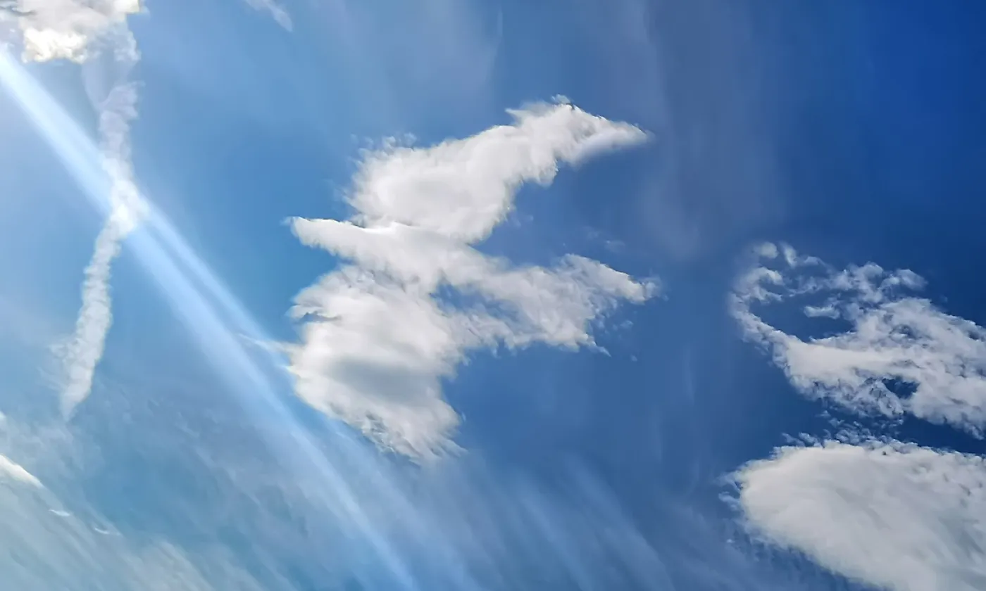 ©iStock/Roman Starchenko