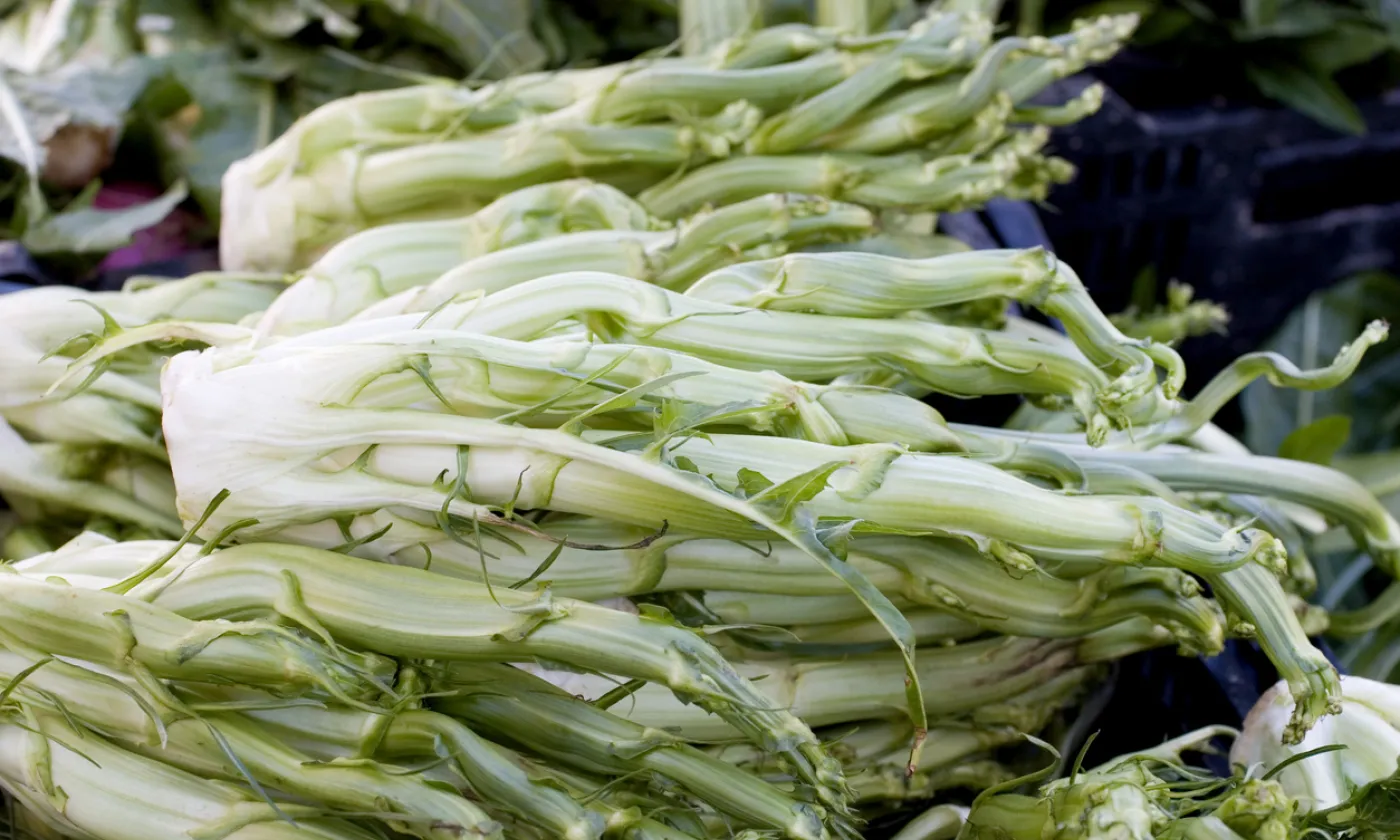 Des cardons ©iStock