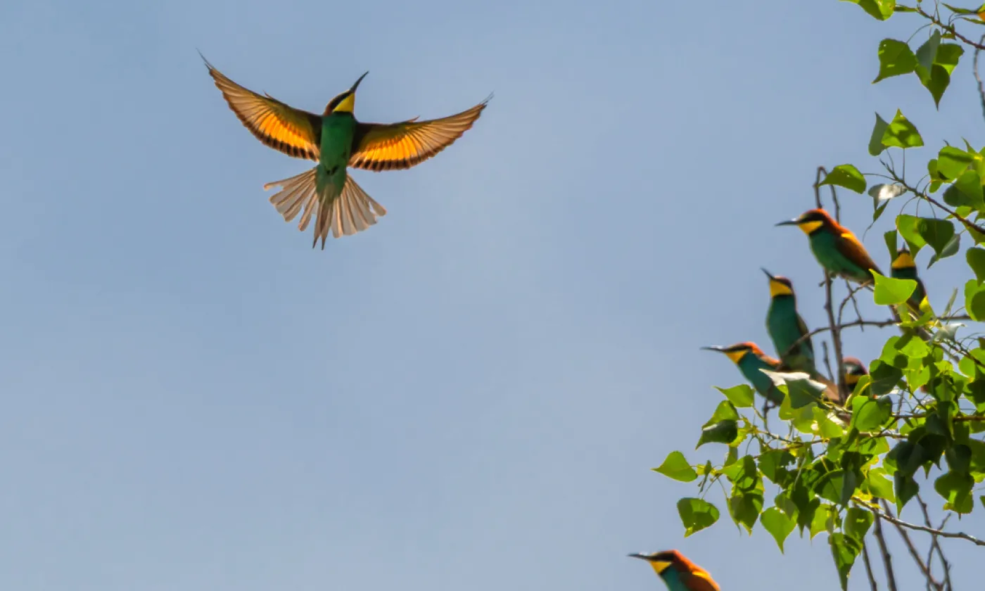 ©iStock