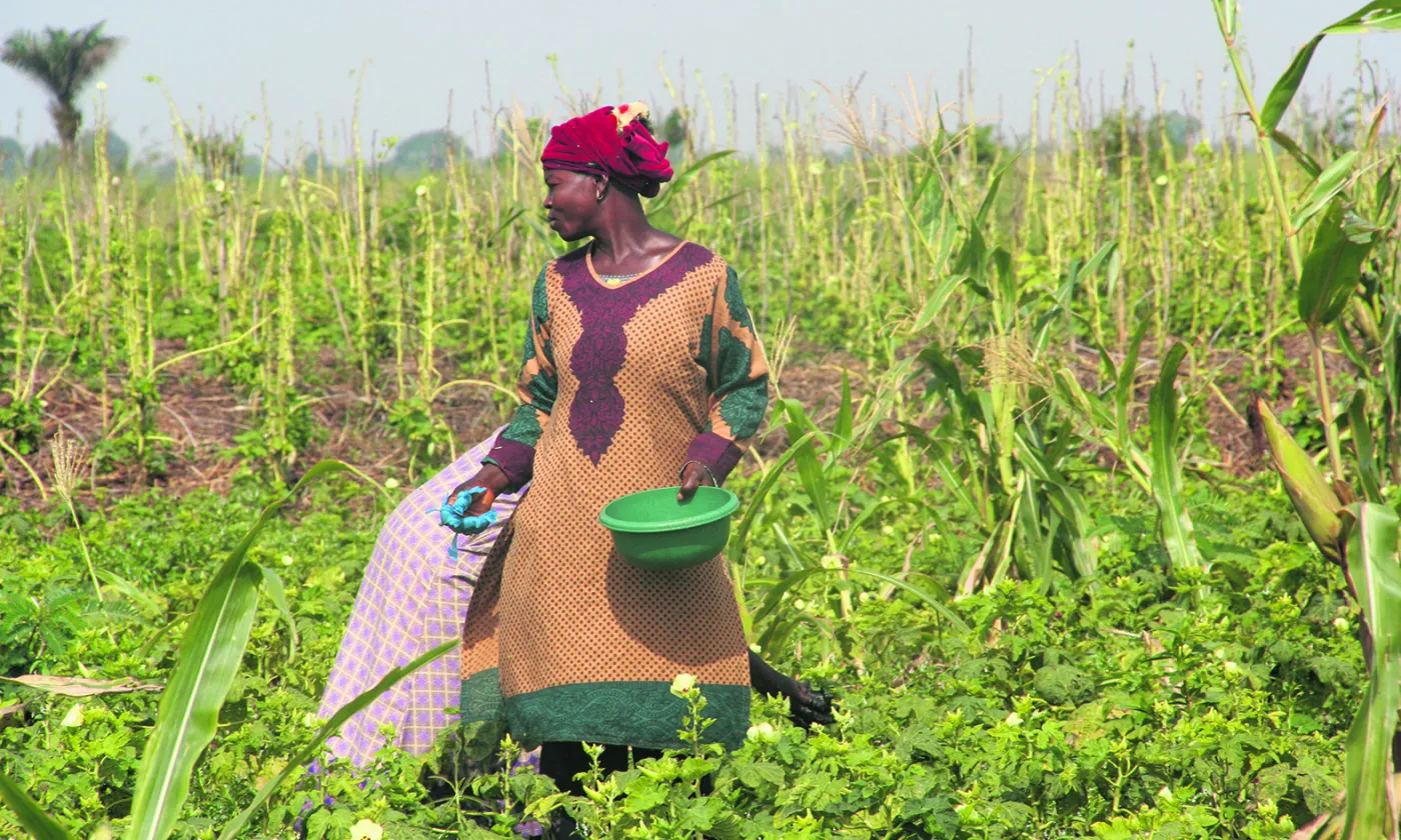 © DM Echange et mission