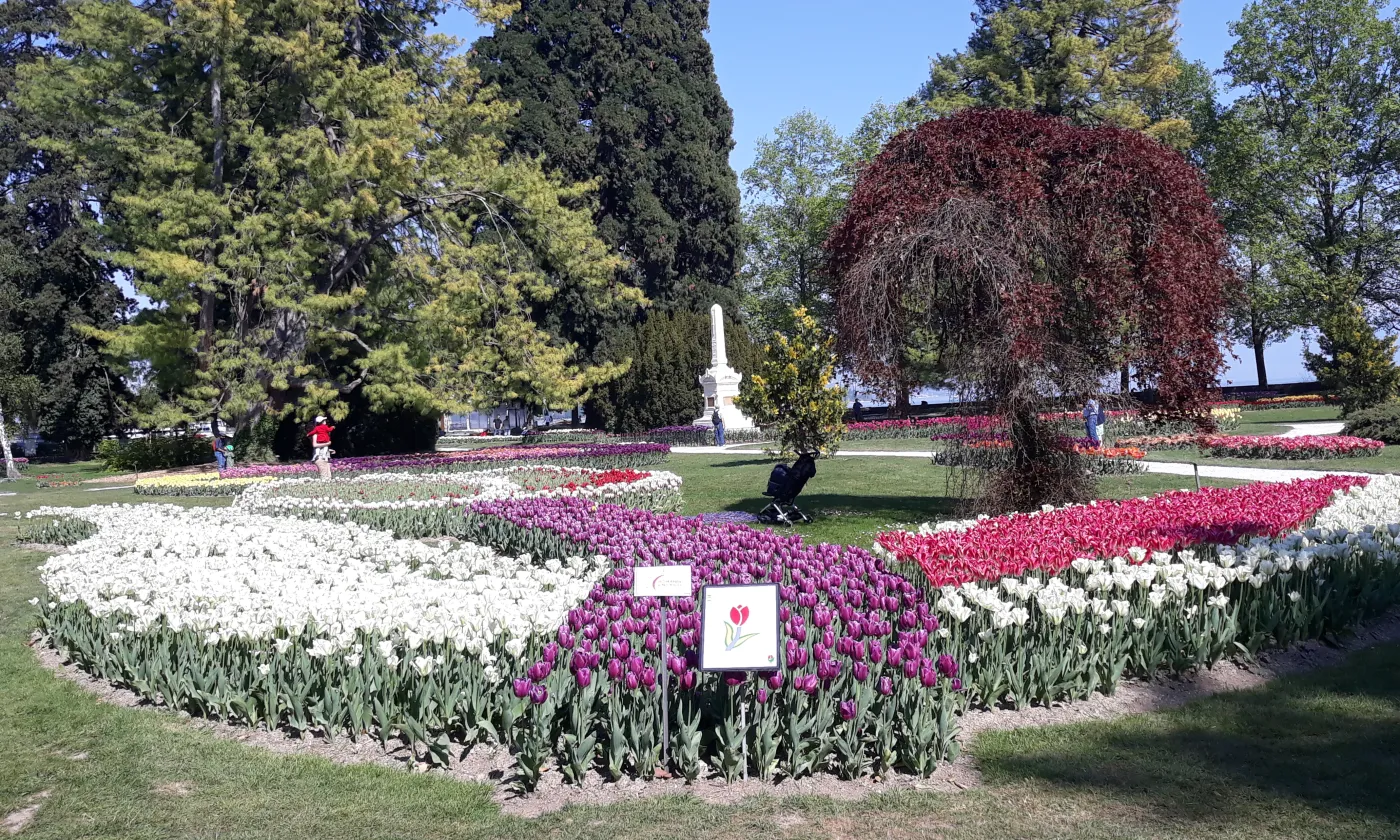 Fête des tulipes, Morges