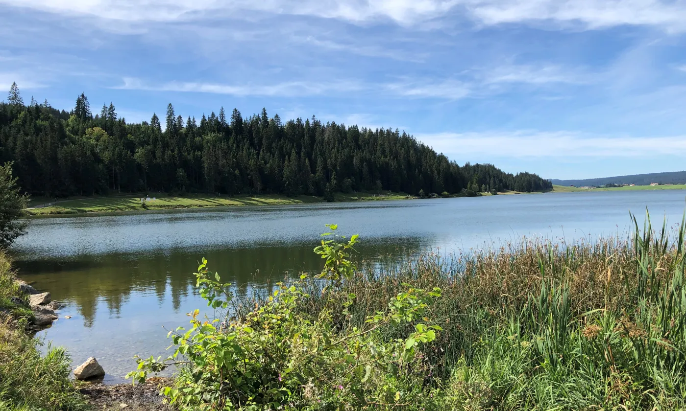 Lac des Taillères (NE) En chemin