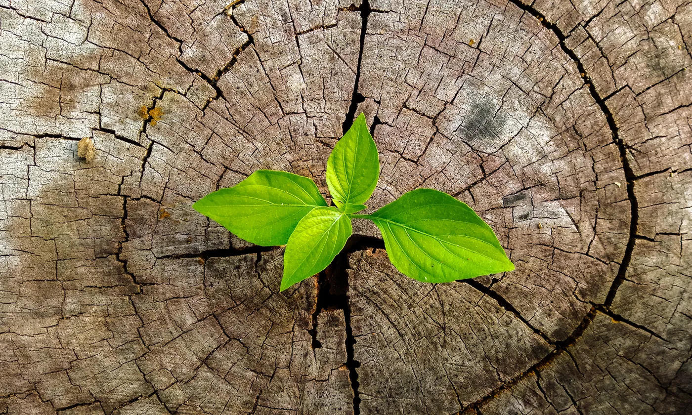 Avec Florence Mottier Retraite de Pâques