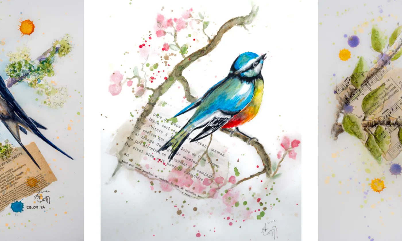 "Oiseaux de passage" Une exposition de Anne Cernigoi