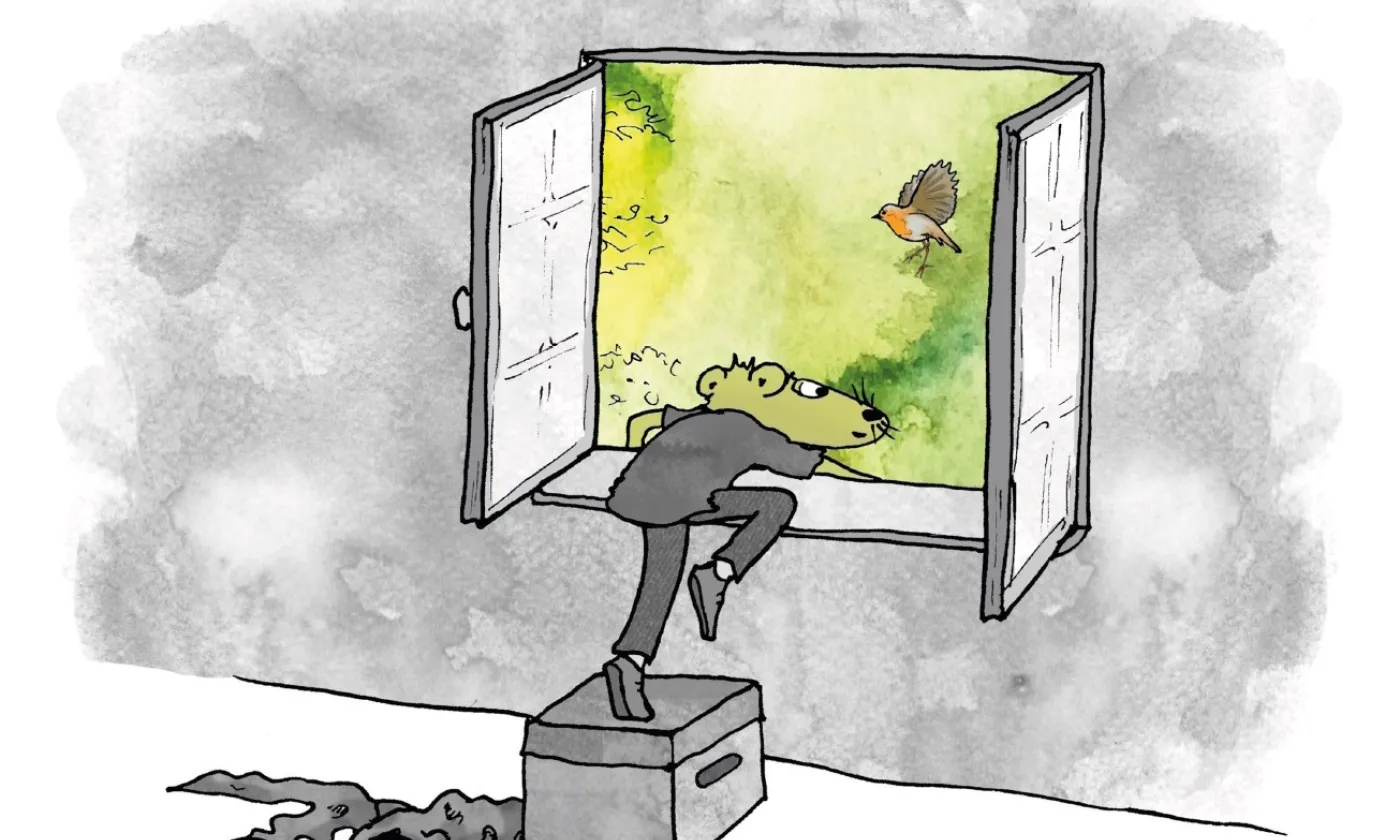 L'Arbre qui menait au ciel - par Elise et Corinne Vonaesch L'Arbre qui menait au ciel - 2026 - ref-editions.ch