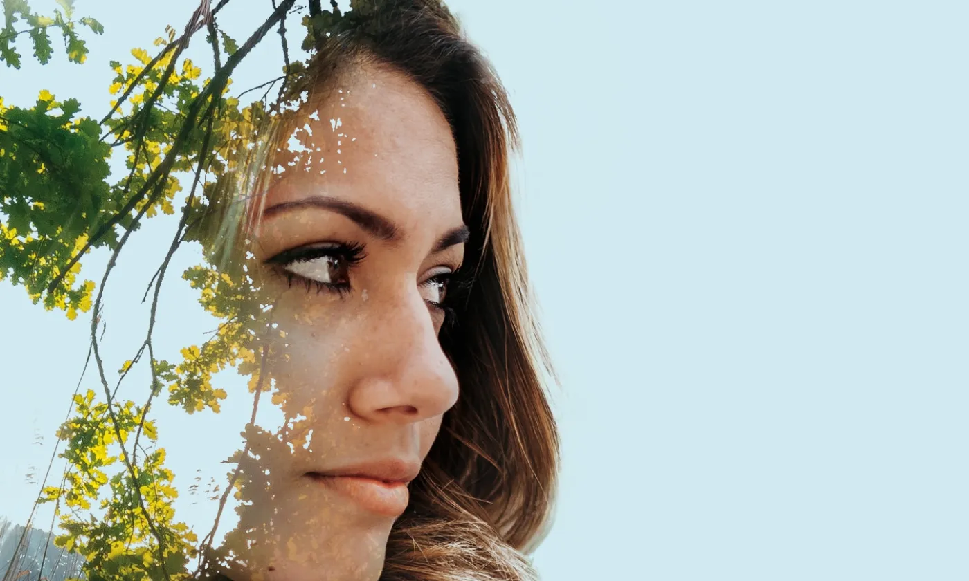 «Des arbres qui marchent», un parcours de sens.