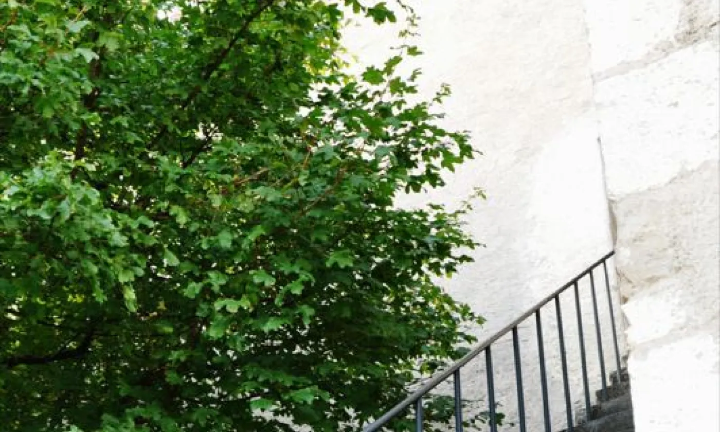 Alexandra Urfer Jungen