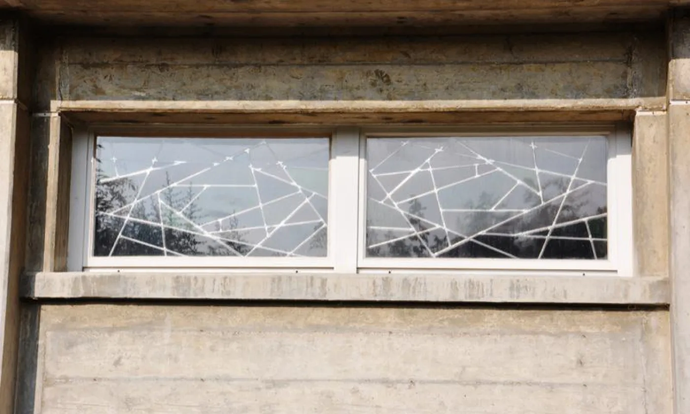 Alexandra Urfer Jungen