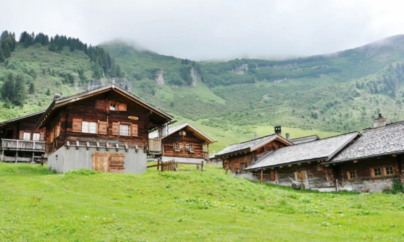 Alexandra Urfer Jungen