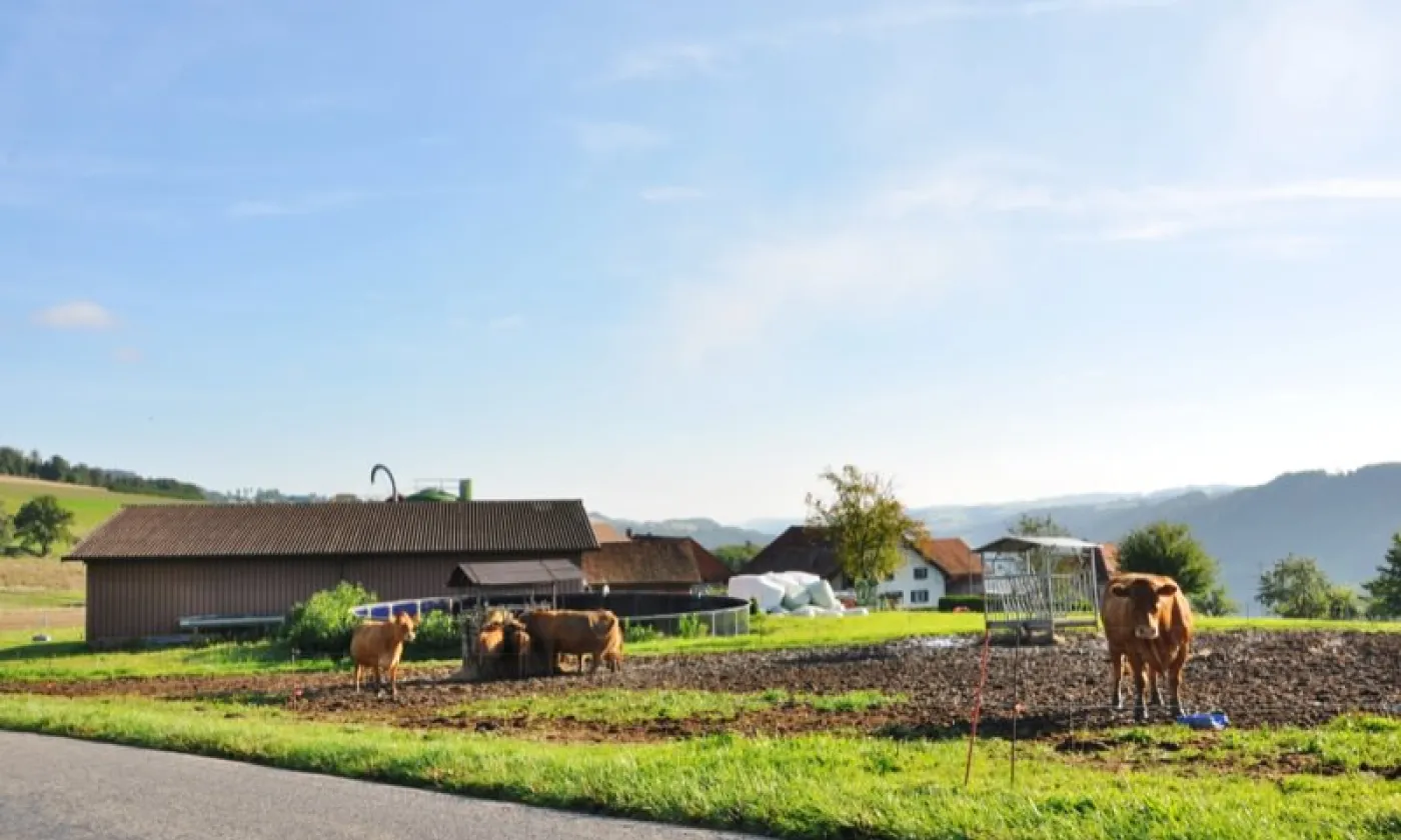 Alexandra Urfer Jungen