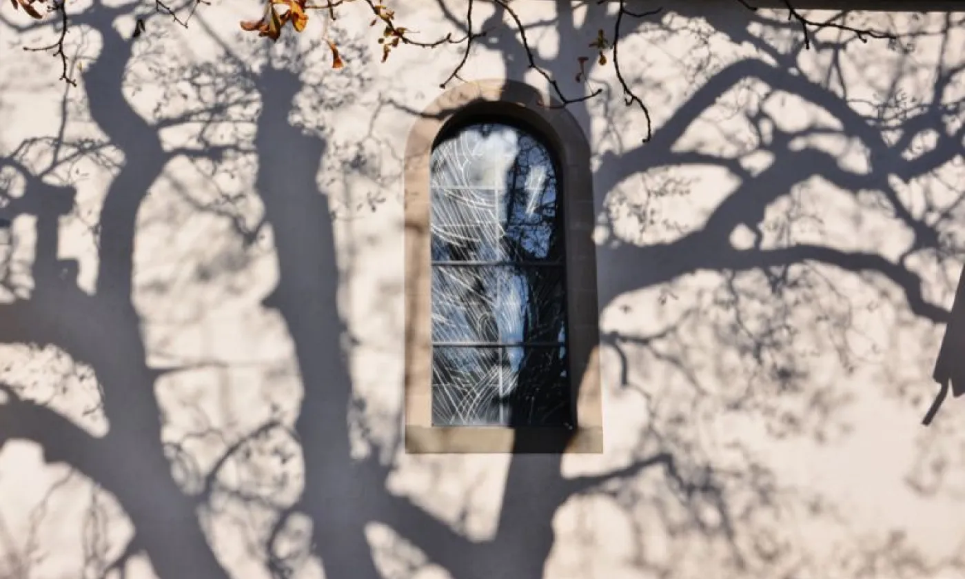 Alexandra Urfer Jungen