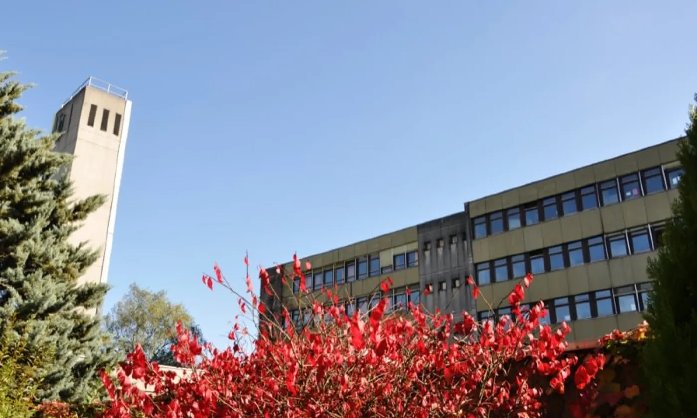 Alexandra Urfer Jungen