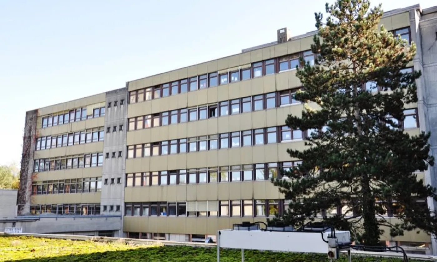 Alexandra Urfer Jungen