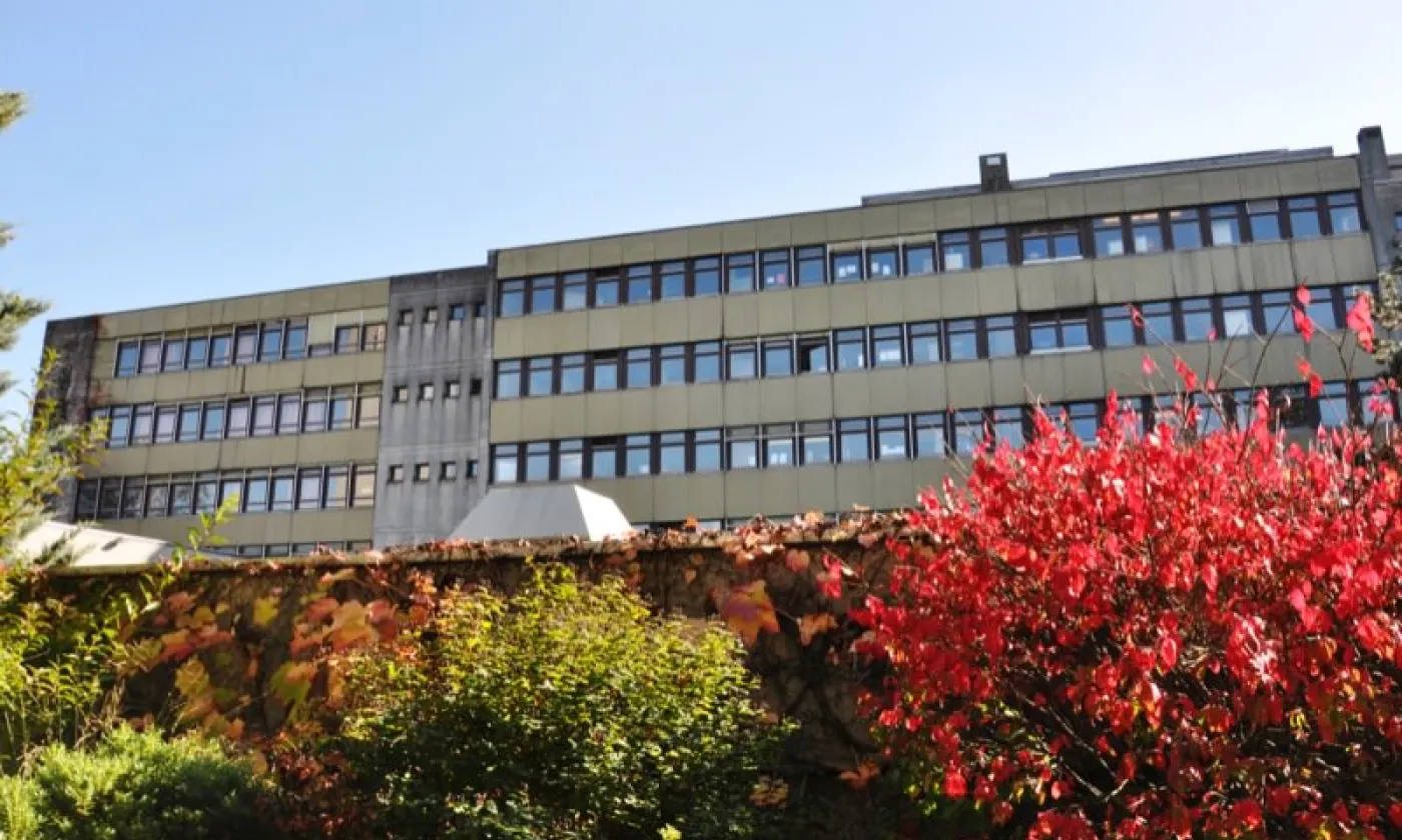 Alexandra Urfer Jungen